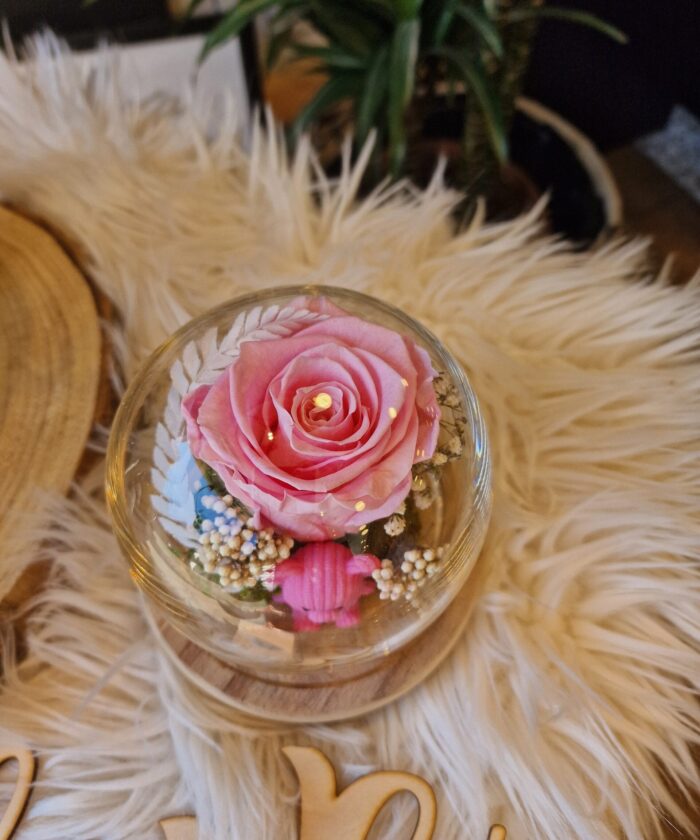 Fleur rose sous cloche